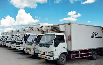 惠發執行總經理臧方運 2018速凍食品市場“裂變期”來臨！城市配送運輸服務如何破局