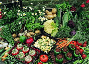 破解農產品“賣難”困局 優化食用農產品零售的創新路徑