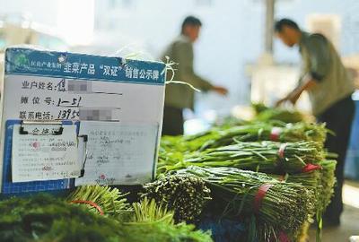 韭菜雙證制辦理流程與新鮮水果零售業(yè)務指南