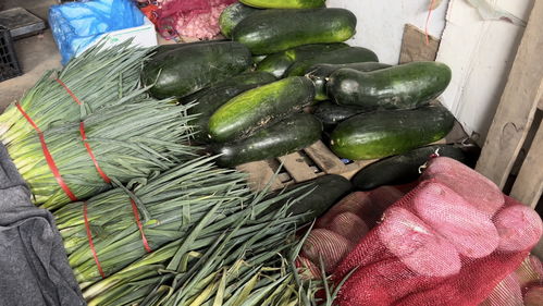 蔬菜價格高位運行，專家預測九月上旬將回落