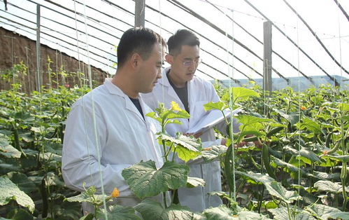 安丘百名檢測員一線把關，筑牢“舌尖安全”防護網